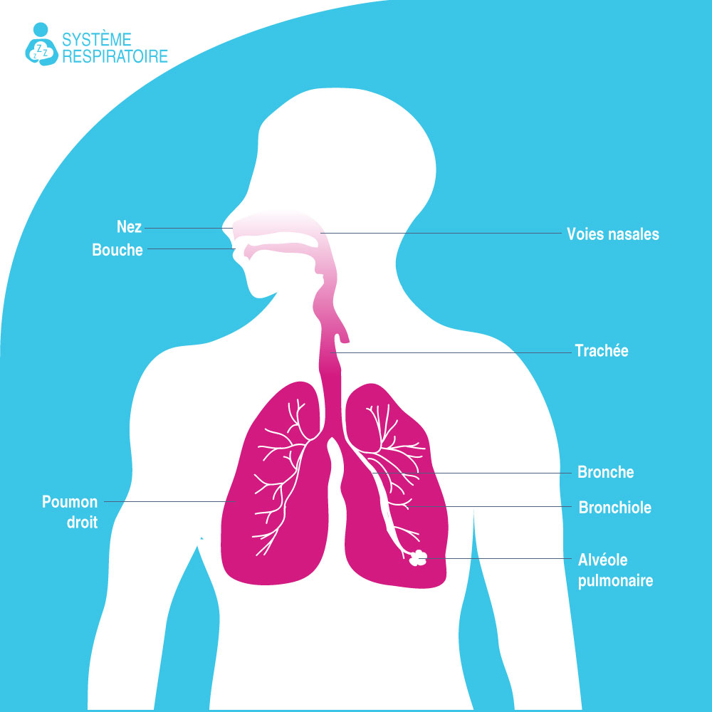 Dispositif d'exercice respiratoire pour poumons - Algeria